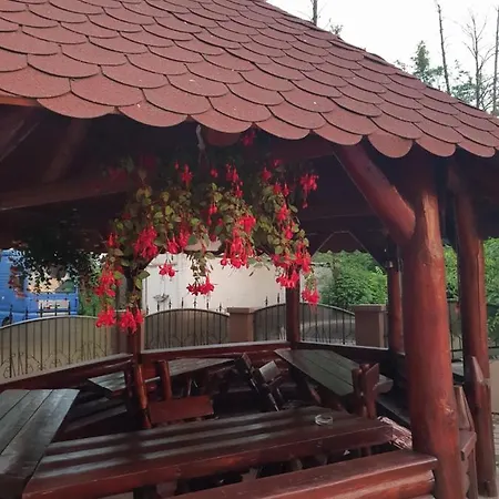 Pensiunea Heaven Гостевой дом Bascov